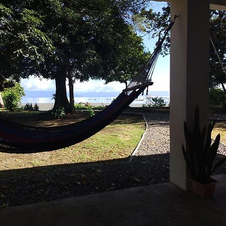 Happy Monkeys Villa Puerto Jimenez Bagian luar foto