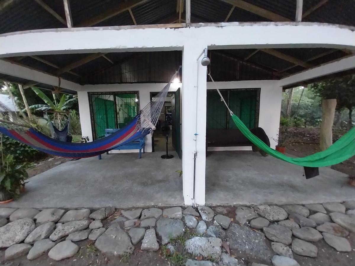 Happy Monkeys Villa Puerto Jimenez Bagian luar foto