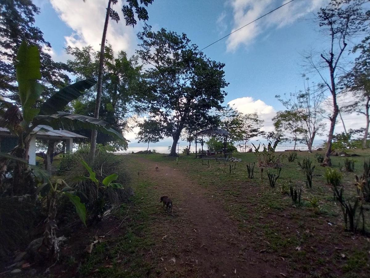 Happy Monkeys Villa Puerto Jimenez Bagian luar foto