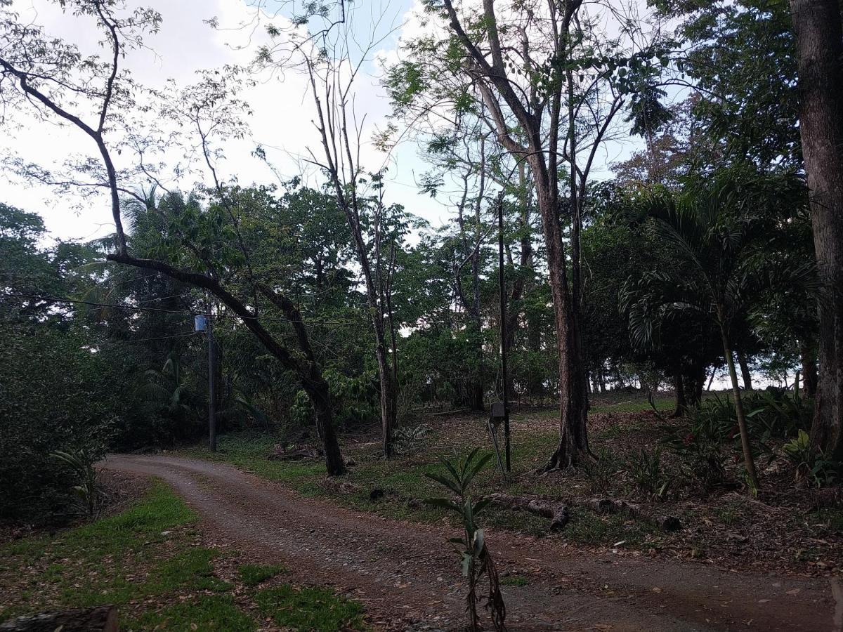 Happy Monkeys Villa Puerto Jimenez Bagian luar foto