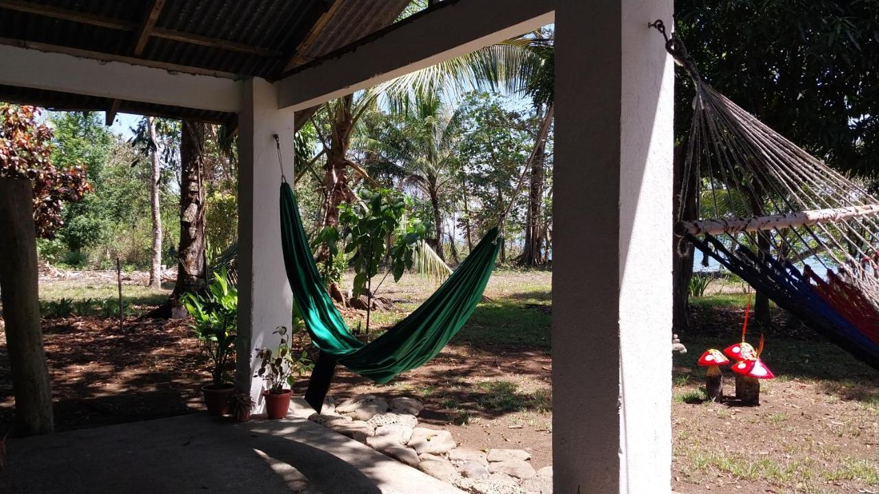 Happy Monkeys Villa Puerto Jimenez Bagian luar foto