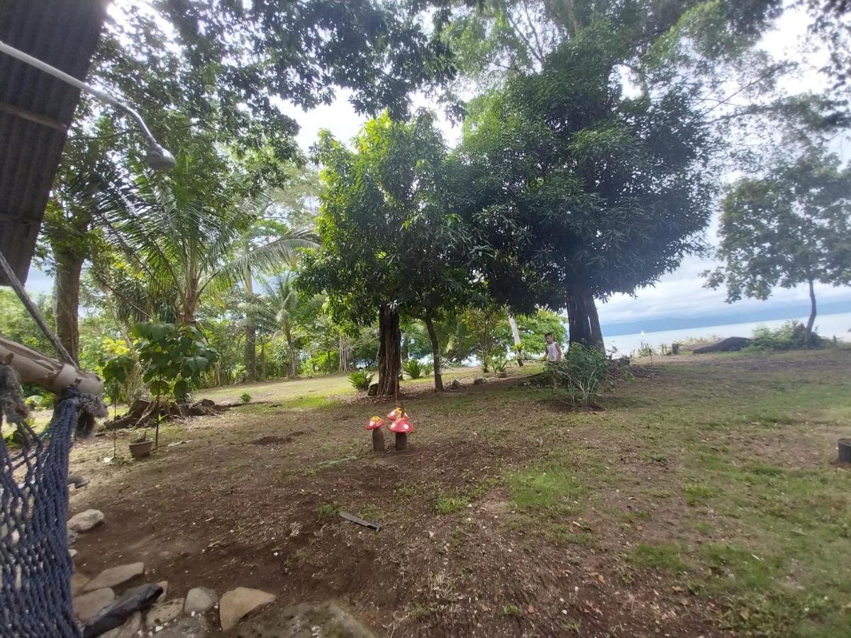Happy Monkeys Villa Puerto Jimenez Bagian luar foto