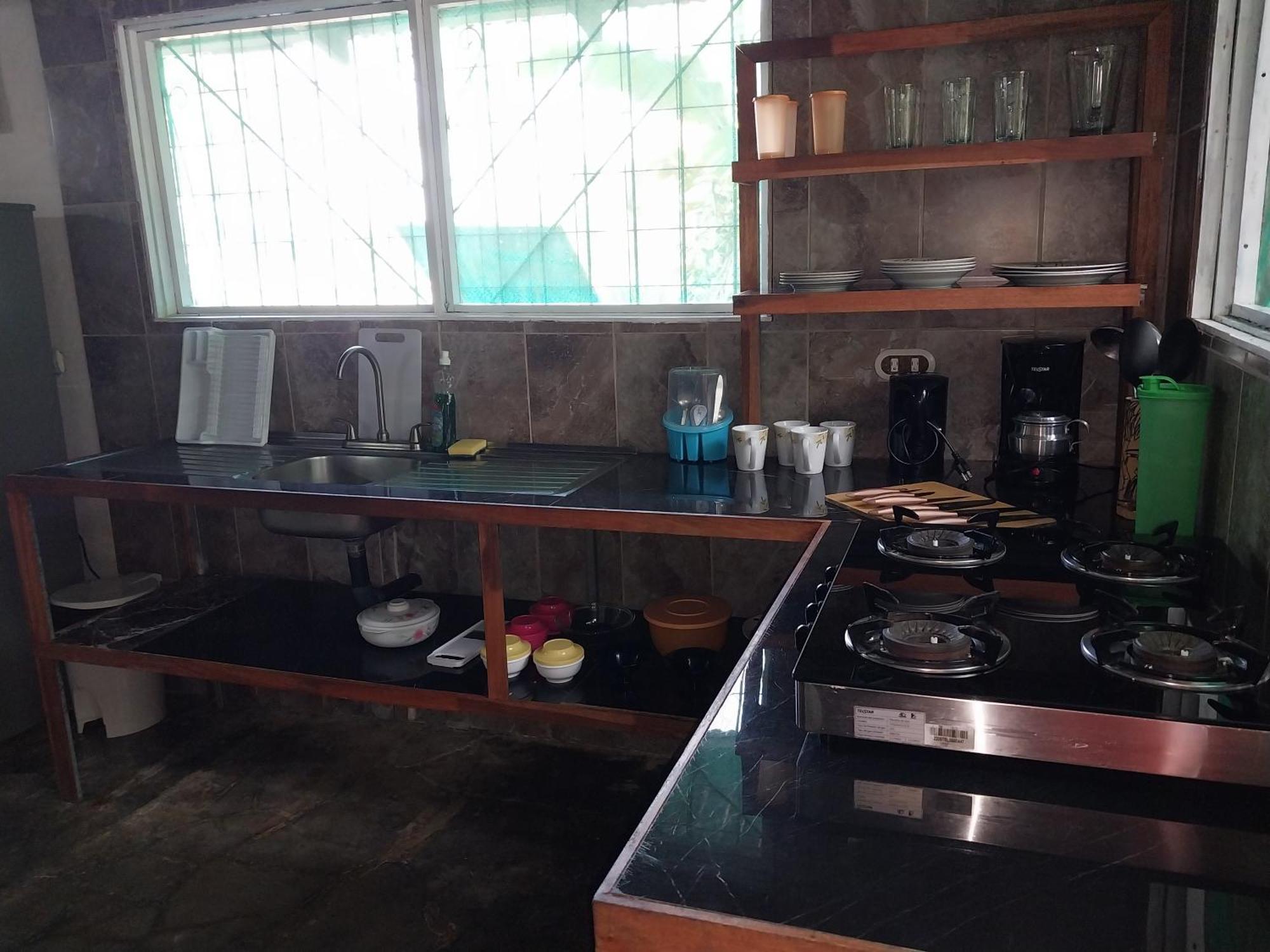 Happy Monkeys Villa Puerto Jimenez Bagian luar foto