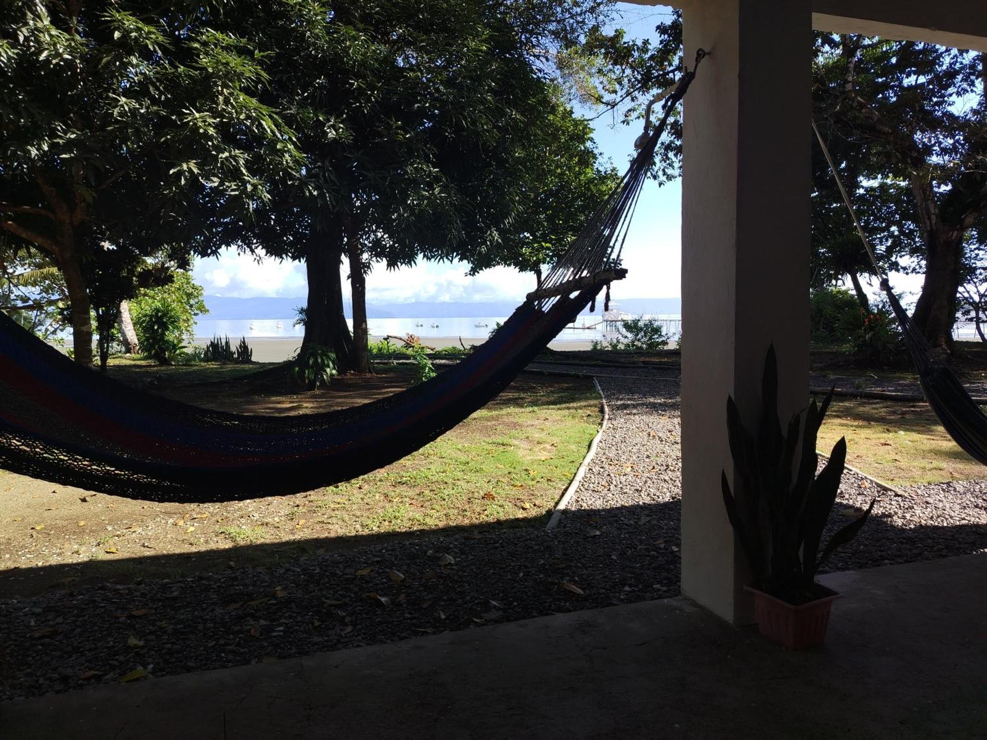 Happy Monkeys Villa Puerto Jimenez Bagian luar foto